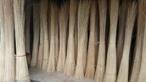 Nipah Brooms